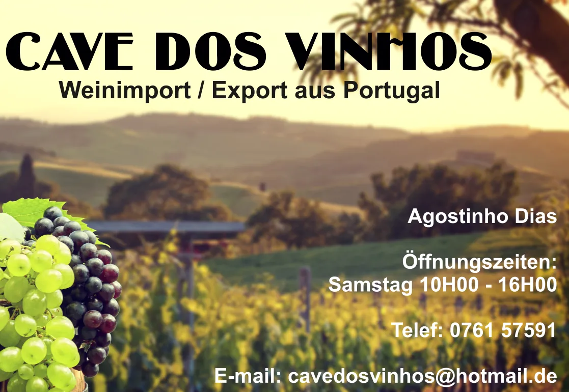 Cave dos Vinhos